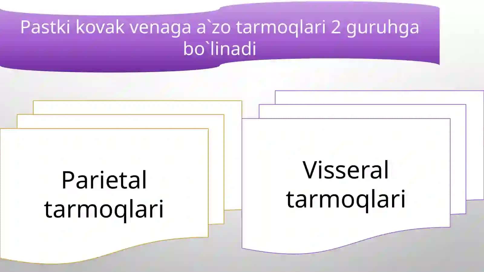 Pastki kovak Vena. Venalar orasidagi anastomozlar 4