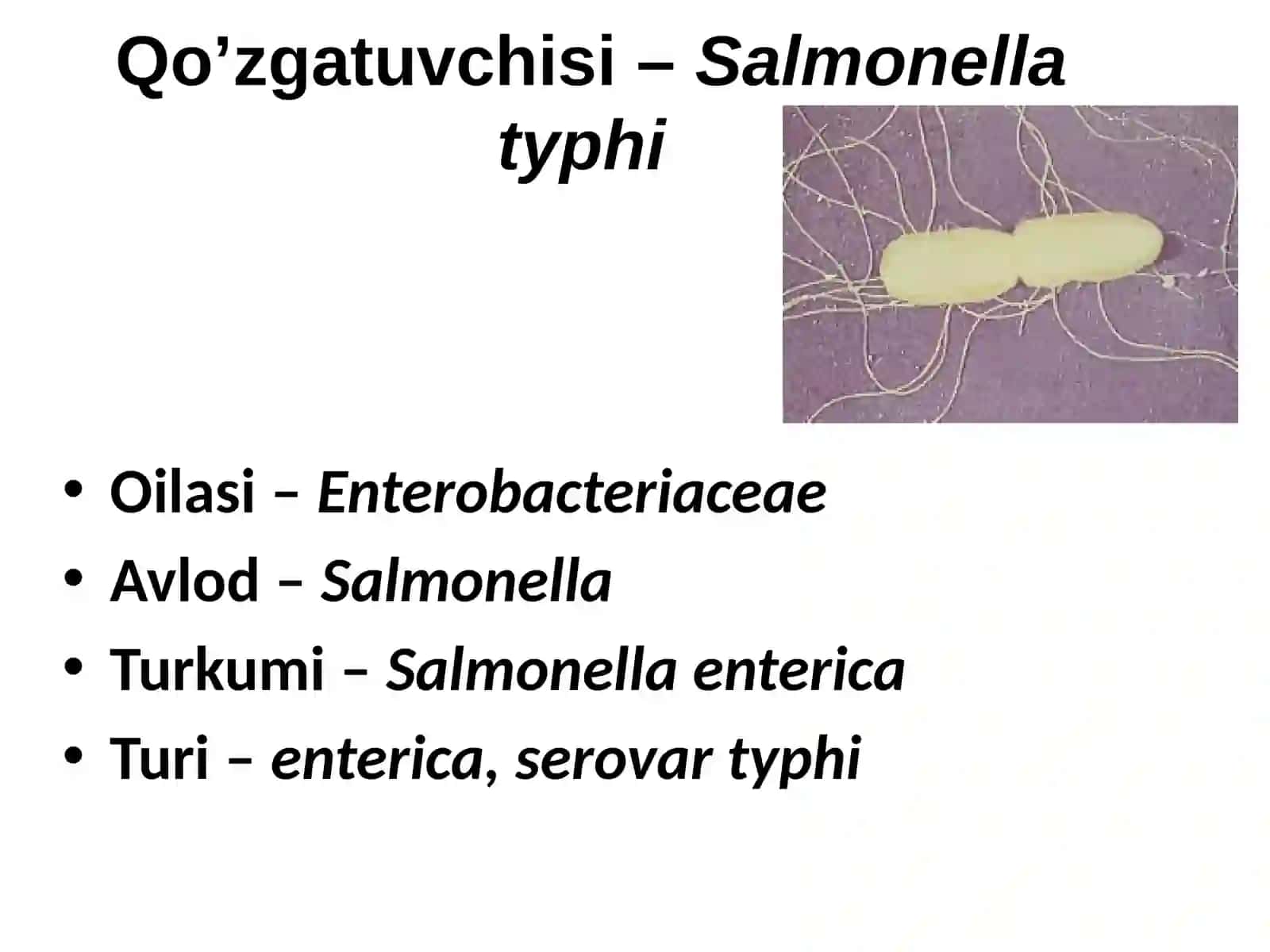 TIFOPARATIFOZ KASALLIKLAR 4