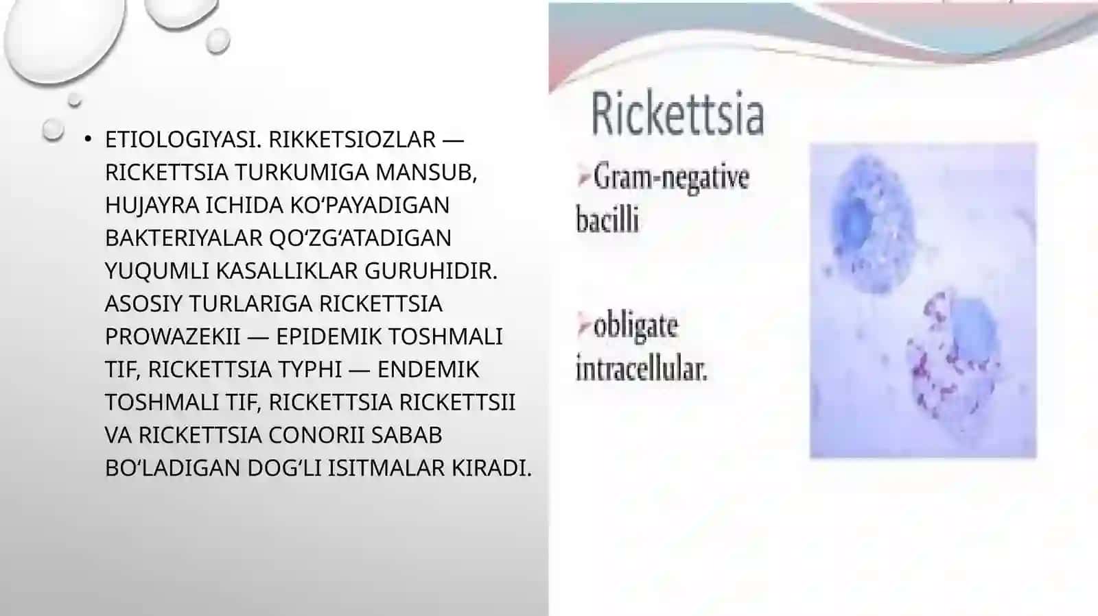 Rikketsioz va iersiniozlar. Etiologiya, epidemiologiya, klinikasi, diagnostika, davolash. 4