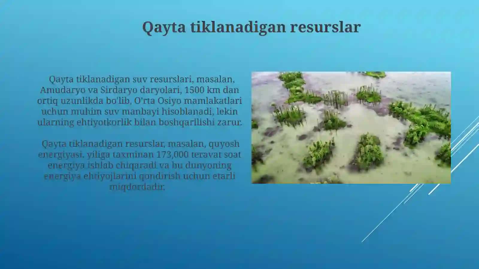 Tabiiy resurslarning asosiy turlari va ularning klassifikatsiyasi 4