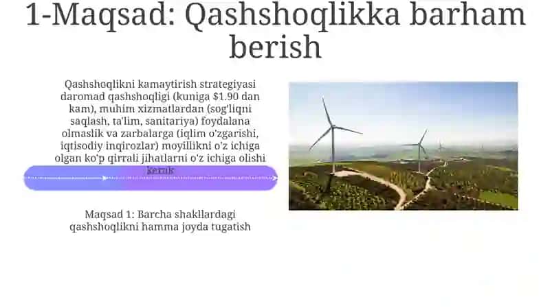 BMTning Barqaror Rivojlanish Maqsadlariga erishish: muammolar va imkoniyatlar 4
