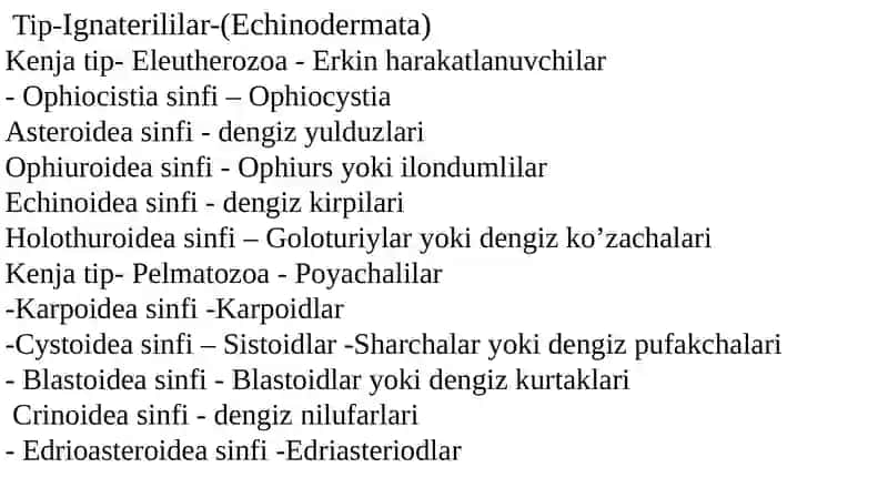 Dengiz yulduzlari 4