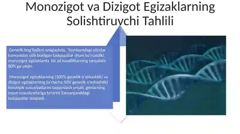 Odam genetikasini oʻrganish usullari genolagik egizaklar usuli 4