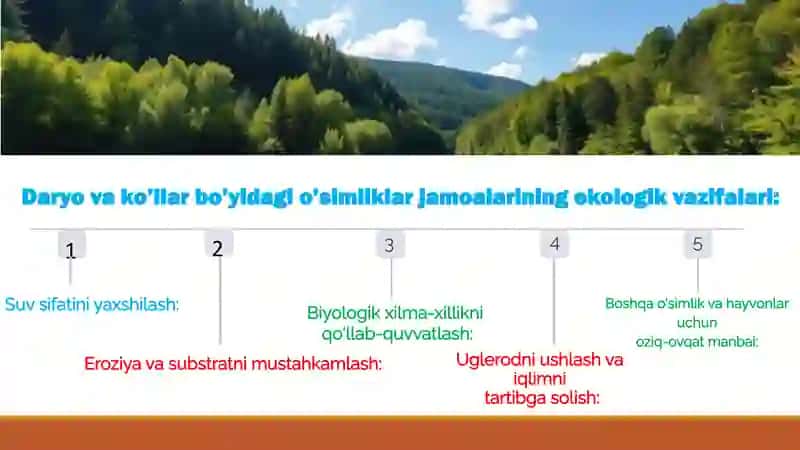 Daryovako’llar bo’yidagi o’simliklar jamoalarining ekologik vazifalari 4