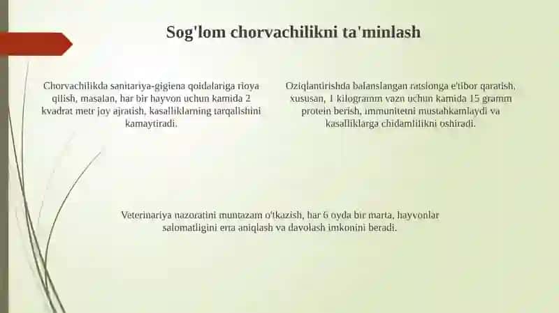 Chorvachilik 4
