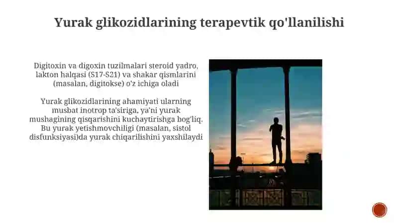 Yurak glikazitlarining kimyoviy tuzilishi va ahamiyati 4