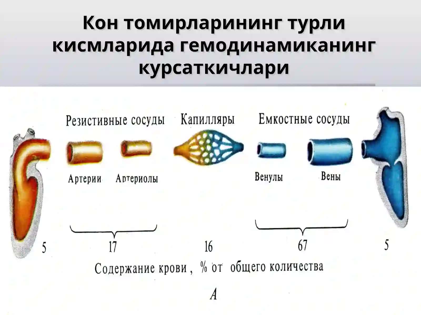№10МАЪРУЗА 4