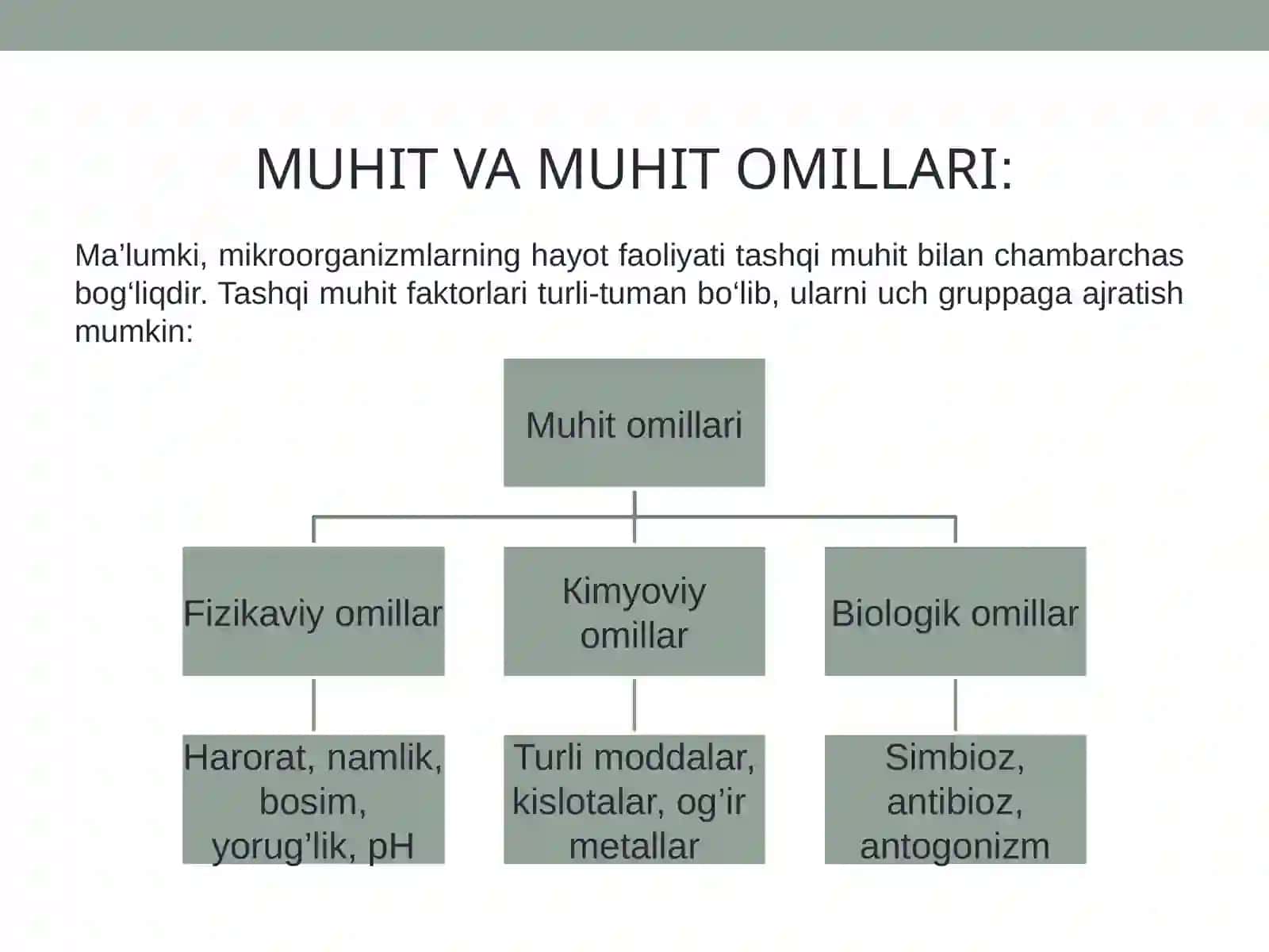 MIKROORGANIZMLARGA TASHQI MUHIT OMILLARINING TA’SIRI 4