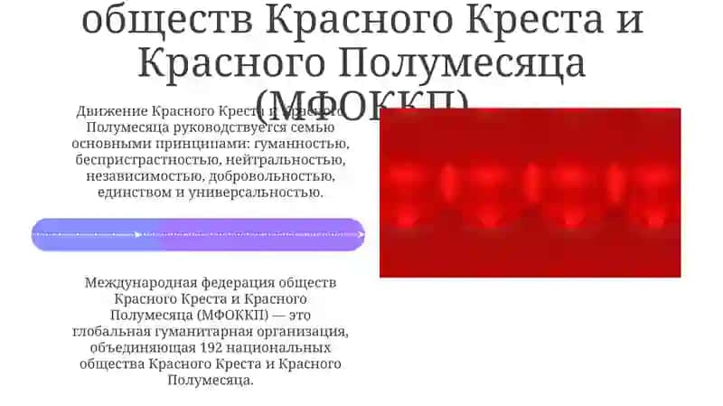 Общество Красного Креста и Полмесяца 4