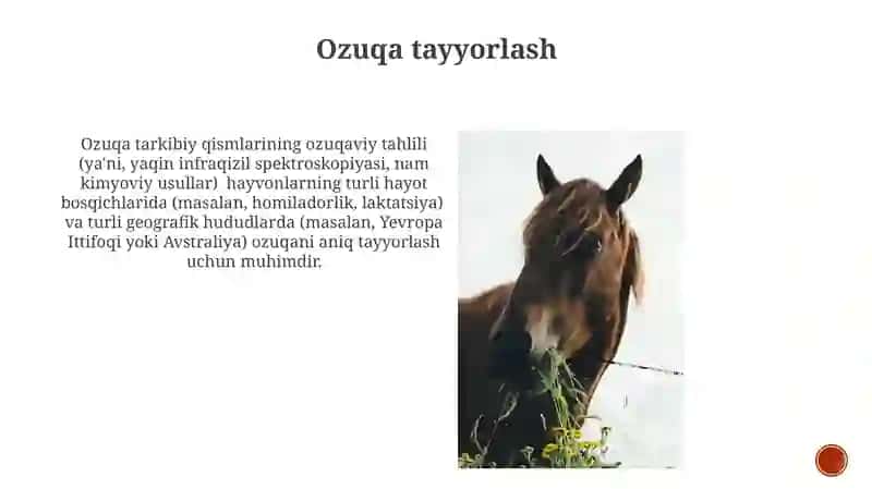 Hayvonlarni oziqlanishi 4