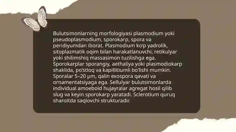 Bulutsimonlarning bio-ekalogik xususiyati va ahamiyati 4