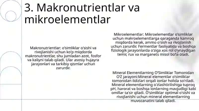 Mineral Elementlarning OʻSimliklar Tomonidan OʻZlashtirilishi 4