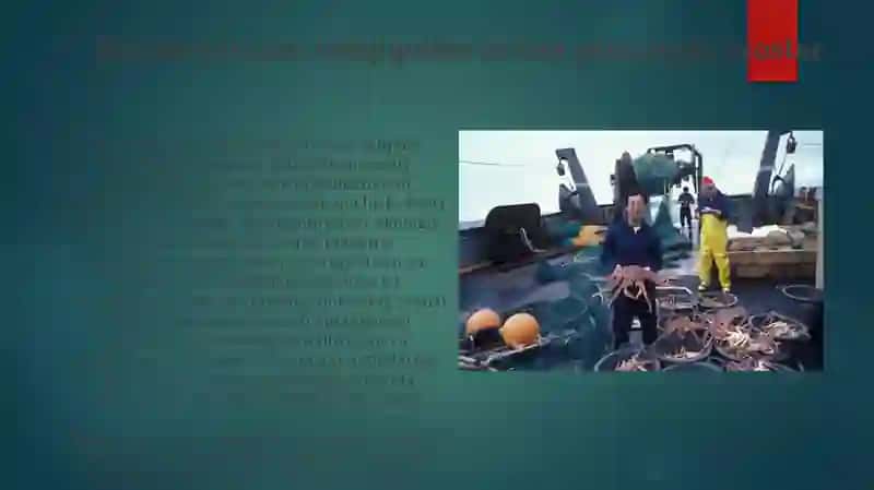 Globalizatsiya va ta'limdagi o'zgarishlar 4