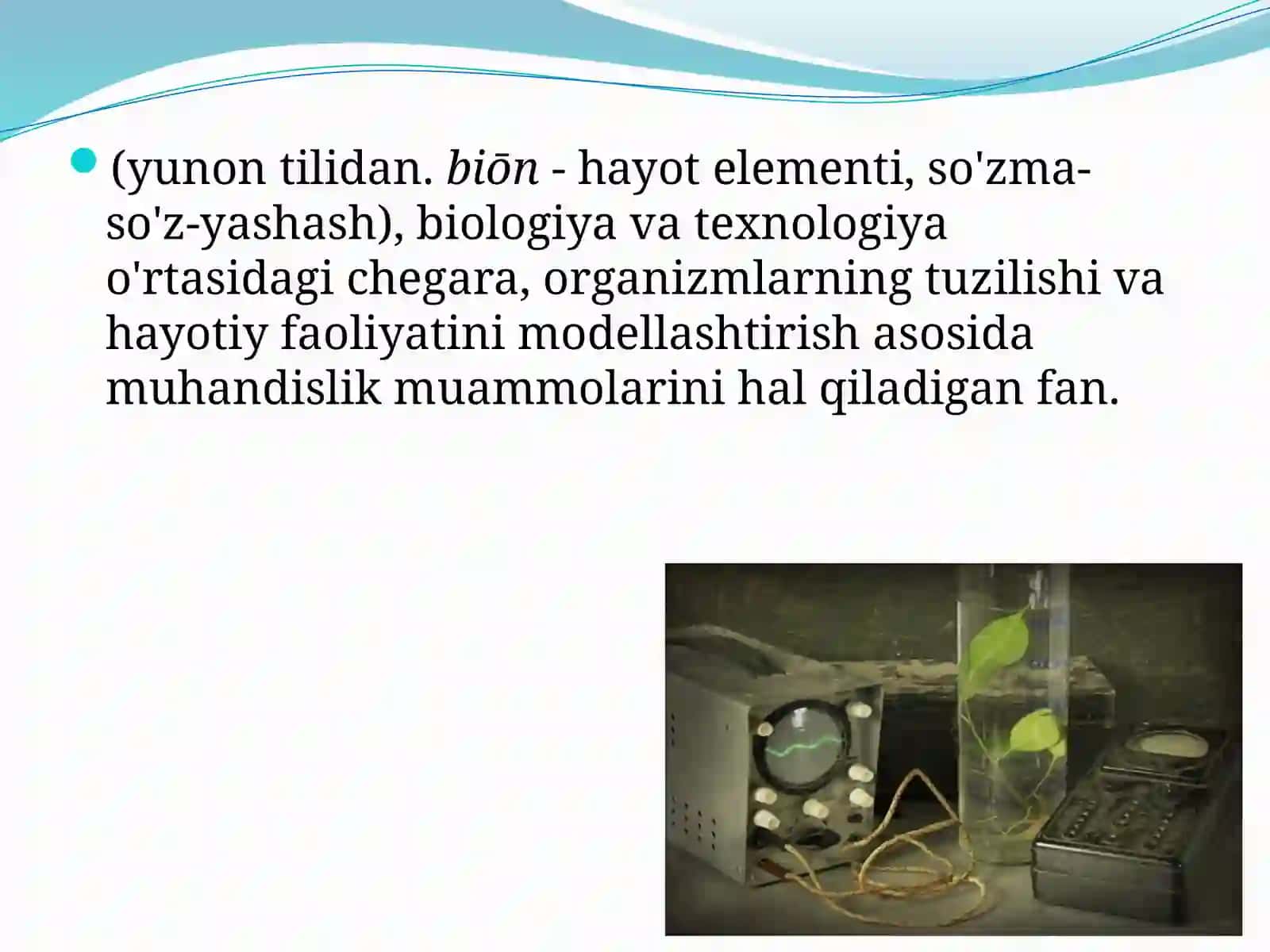 MUSTAQIL ISH Bionika asoslari va uni inson hayotidagi oʻrni 4