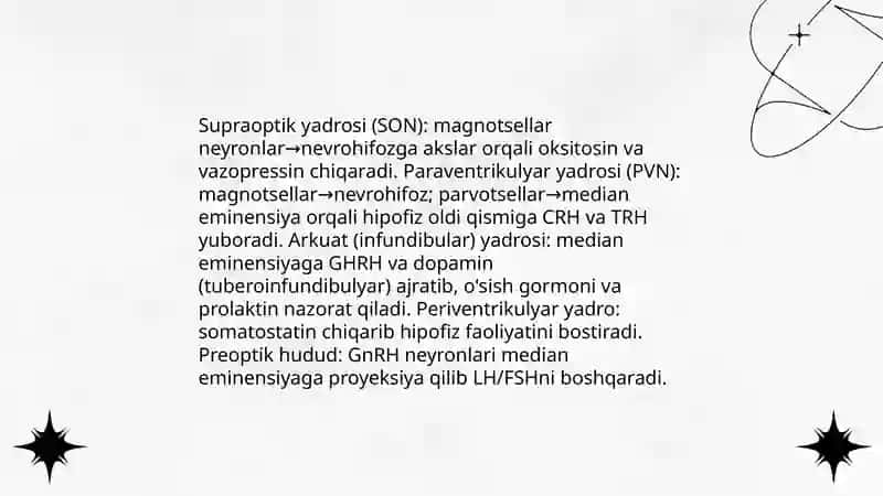 Gipotalamusning gipofiz bilan aloqasi 4