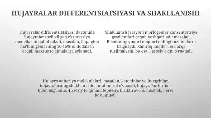 Embrion rivojlanishning umumiy qonuniyatlari 4