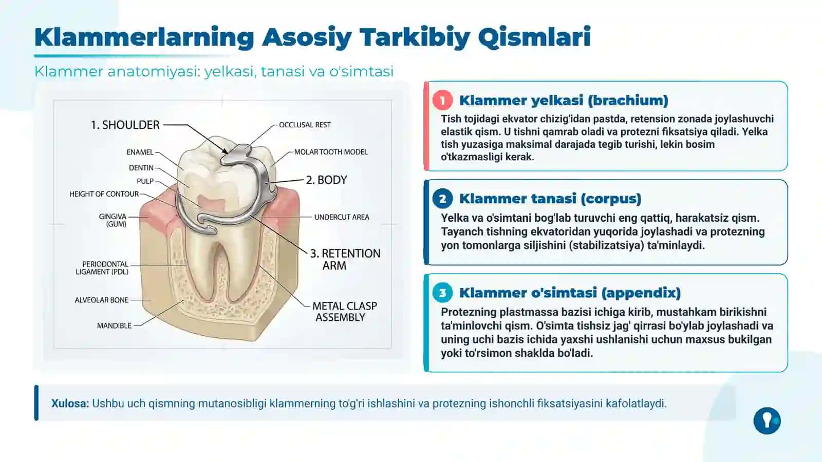 Qisman olib qoʻyiluvchi plastinkali tish protezlarida klammerlar va sun'iy tishlarni terish 4