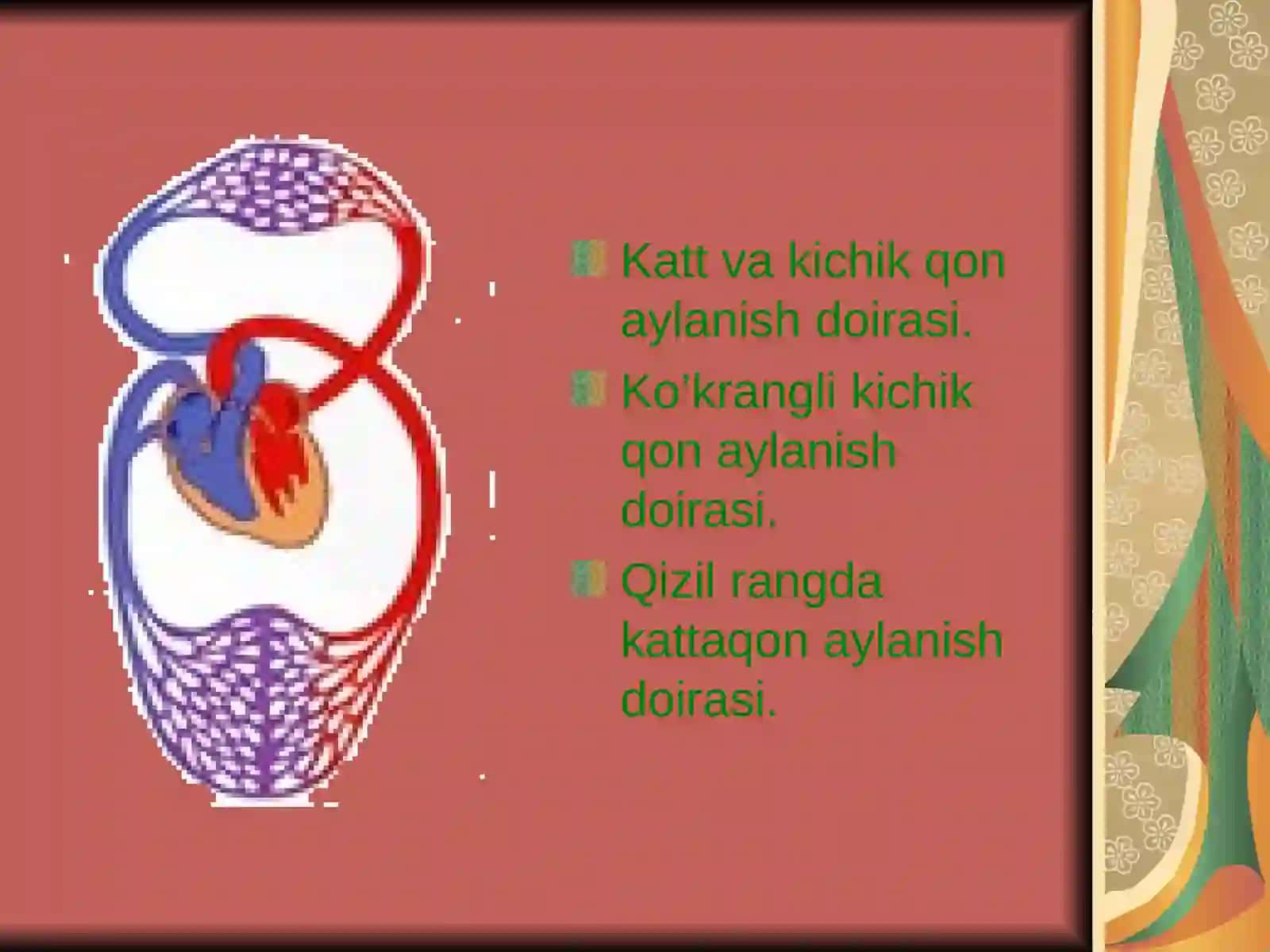 Yurak faoliyatining tovushli belgilari Yurakning tuzilishi 4