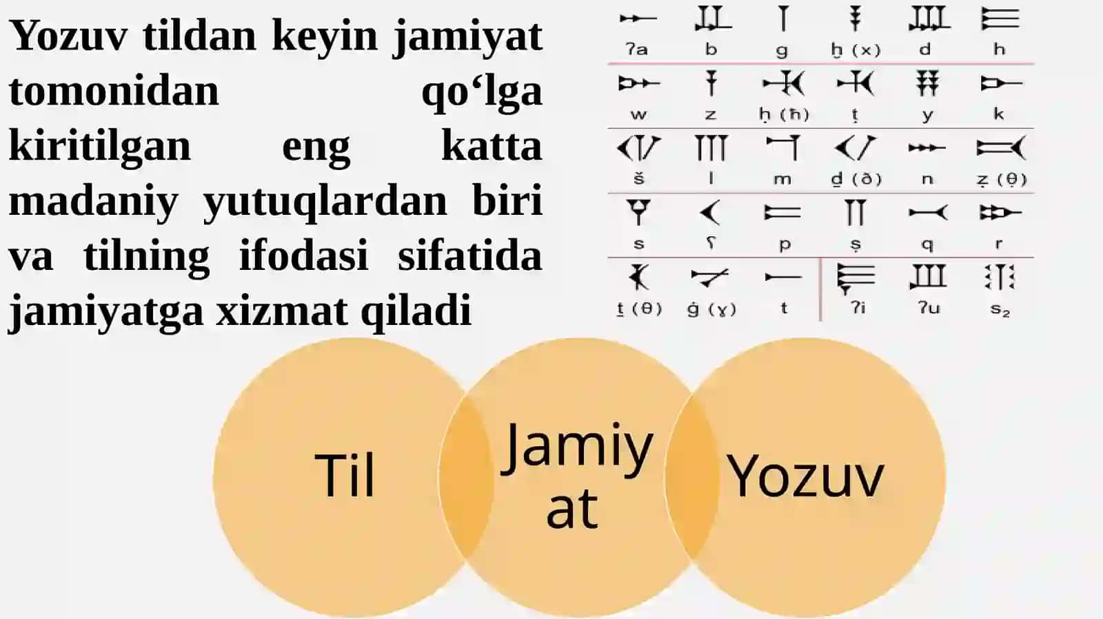 IMLO 4