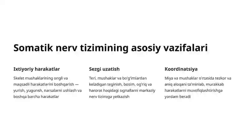 Somatik nerv tizimi 4