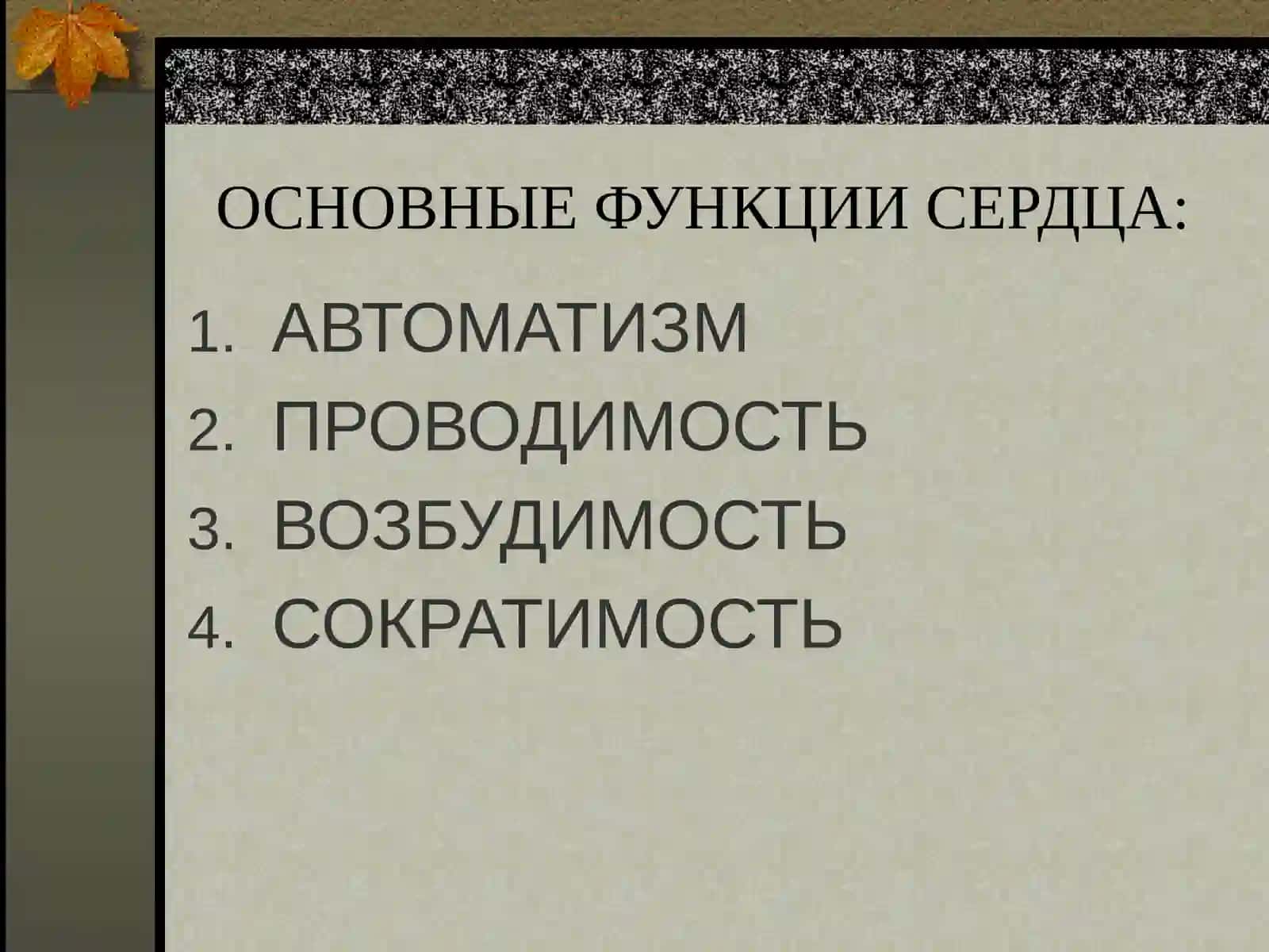 АРИТМИИ 4