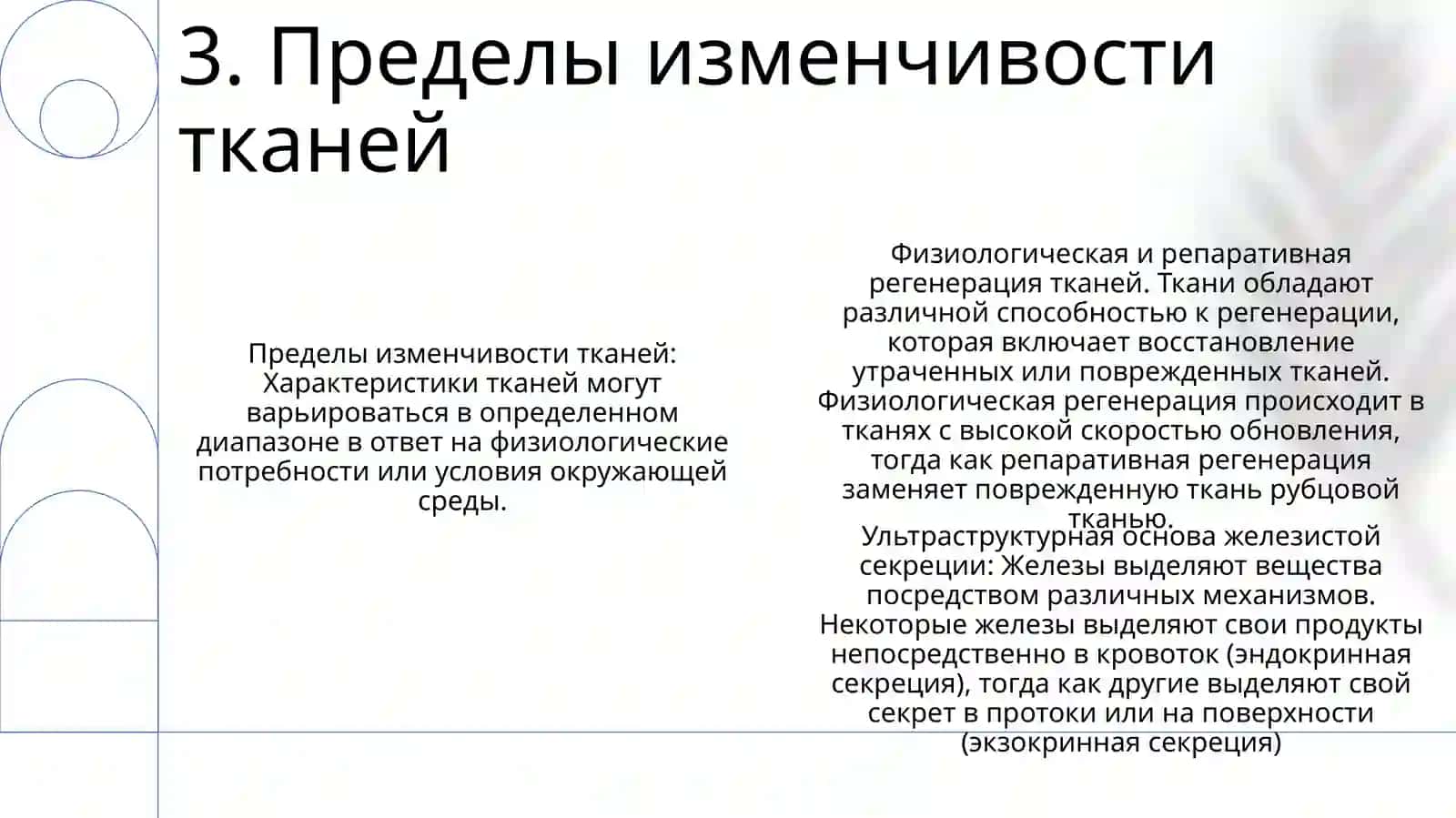 Физиология тканей и регенерация 4