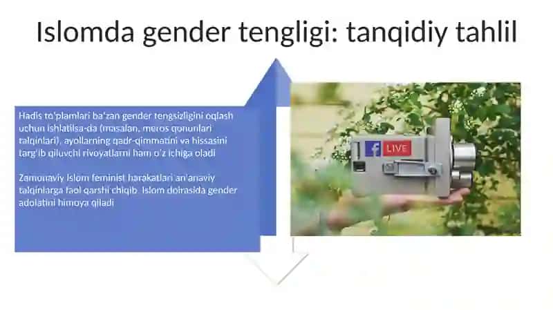 Islomda inson huquqlari himoyasi, ijtimoiy tenglik va tolerantlik 4