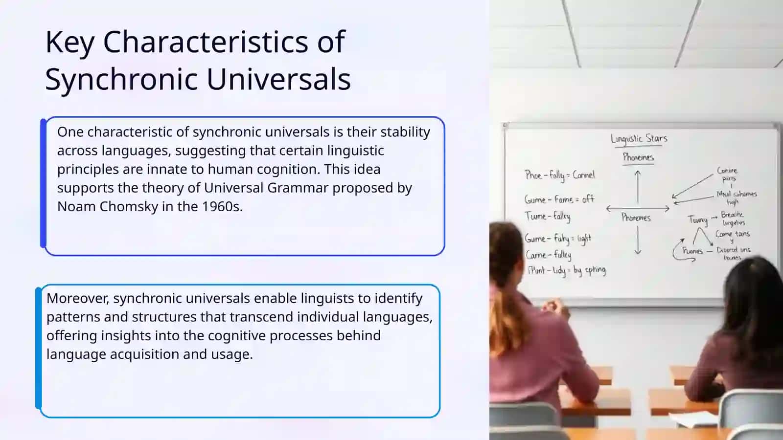 Synchronic Universals 4