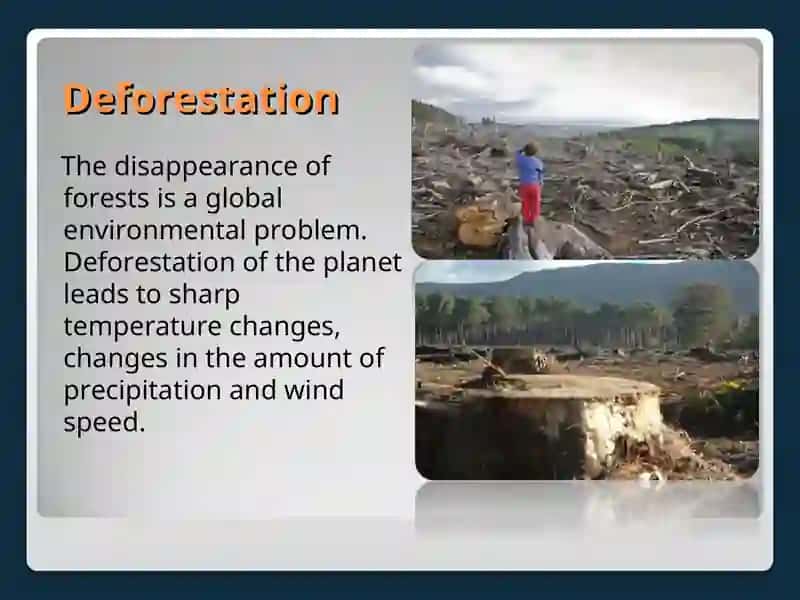 Global environmental problems and solutions 4