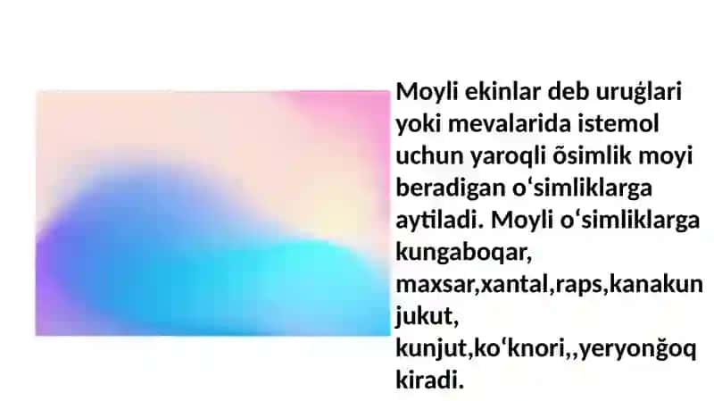 Efirmoylar 4
