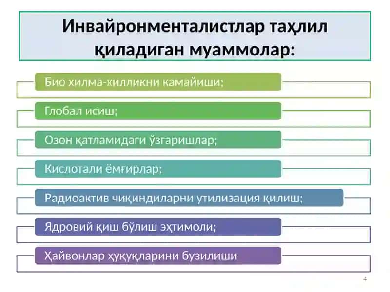 Инвайронментализм 4