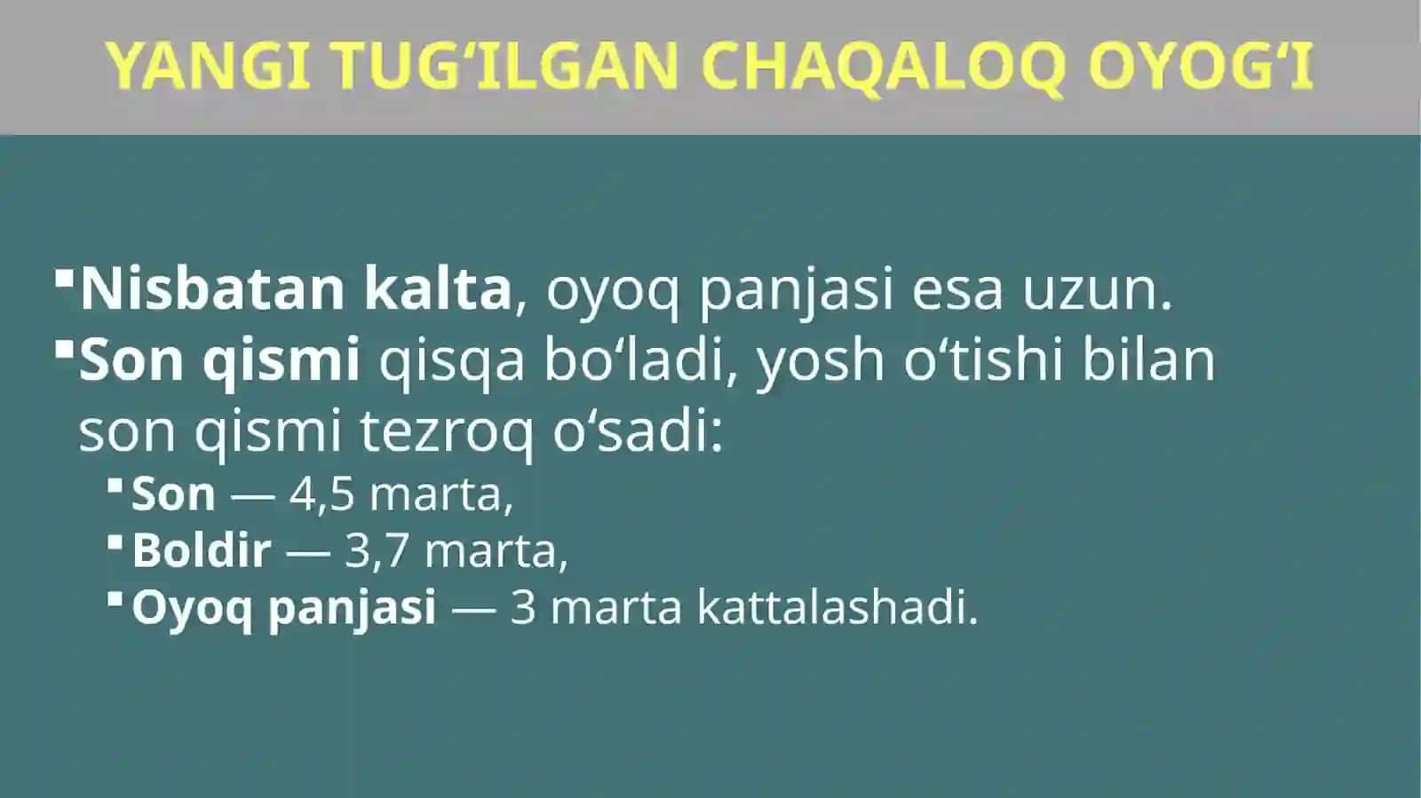 Oyoq Suyaklari -Ossa Membri Inferioris 4