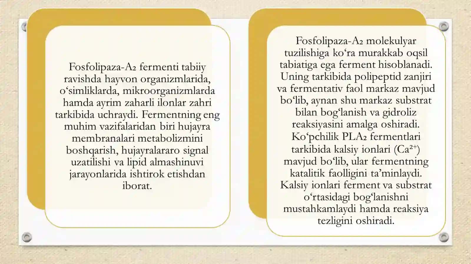 Fosfolipaza-A₂ fermentini saqlovchi preparatlarni olish texnologiyasi. 4