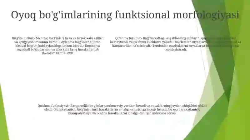 BoʻGʻIm Oyoqlarning Morfofunksinonal Tuzulishi 4