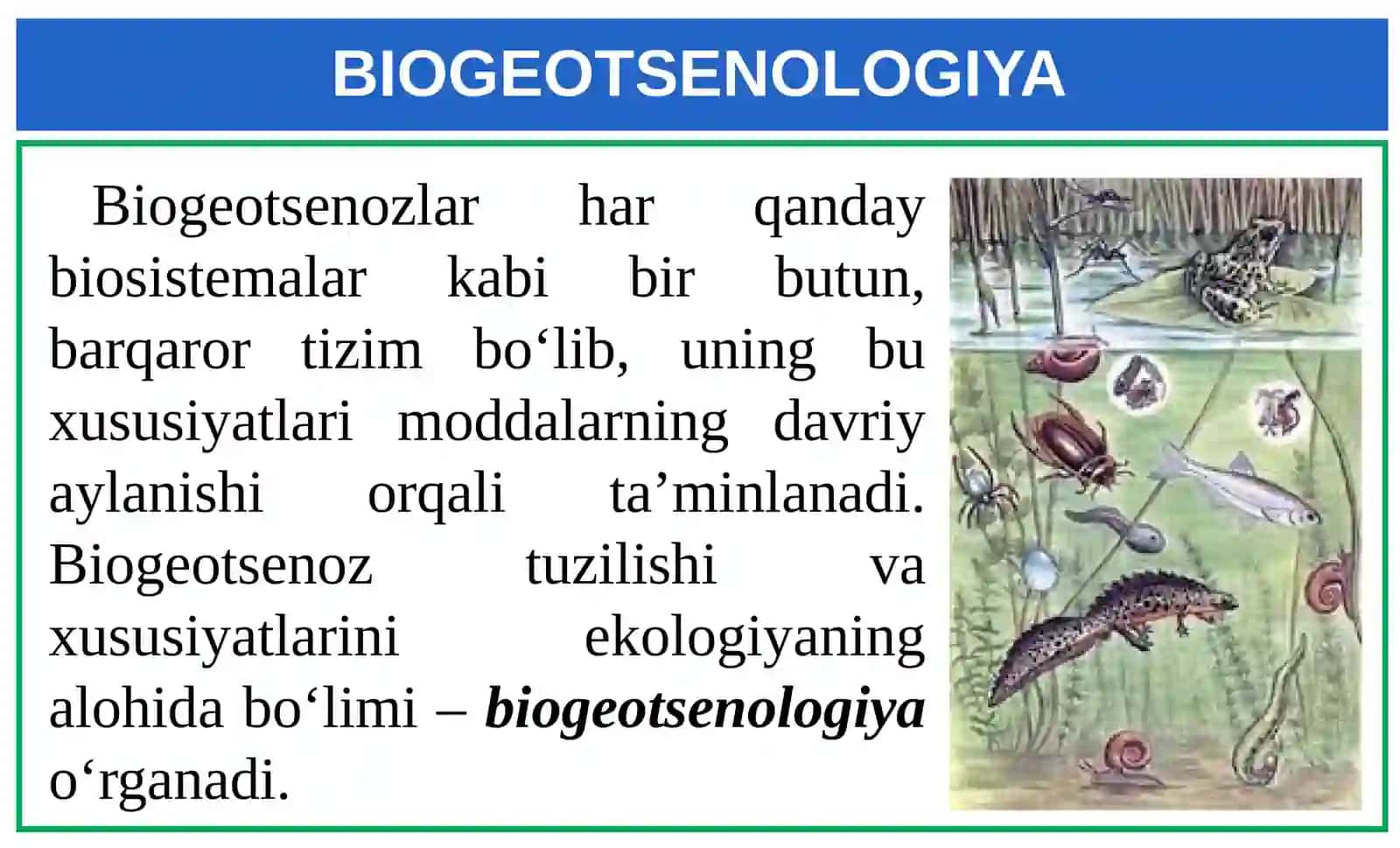 Hayotning ekosistemalar darajasi xususiyatlari. Biogeotsenoz 4