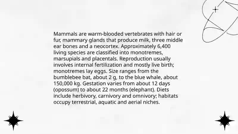 Animal Classification 4