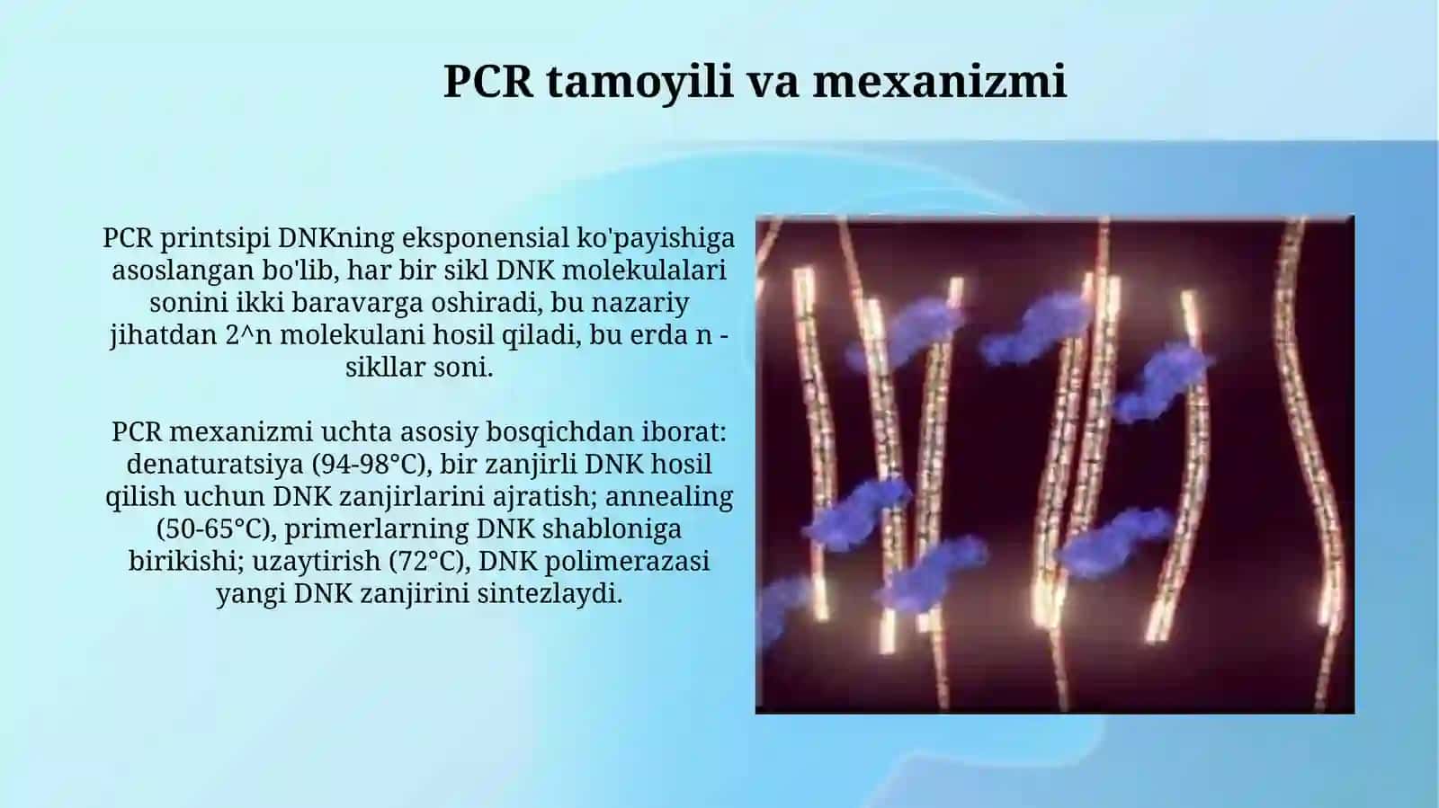 Polimeraza zanjir reaksiyasi 4