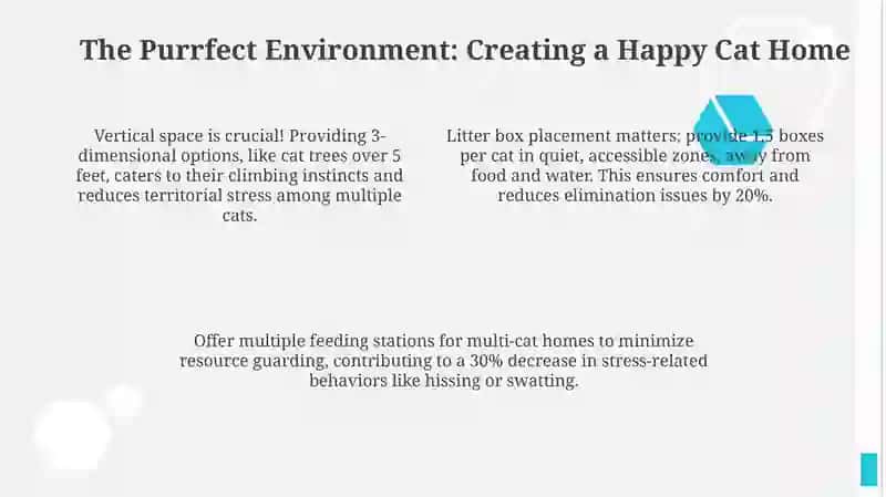 Decoding Cat Bliss: Signs of a Content Feline 4