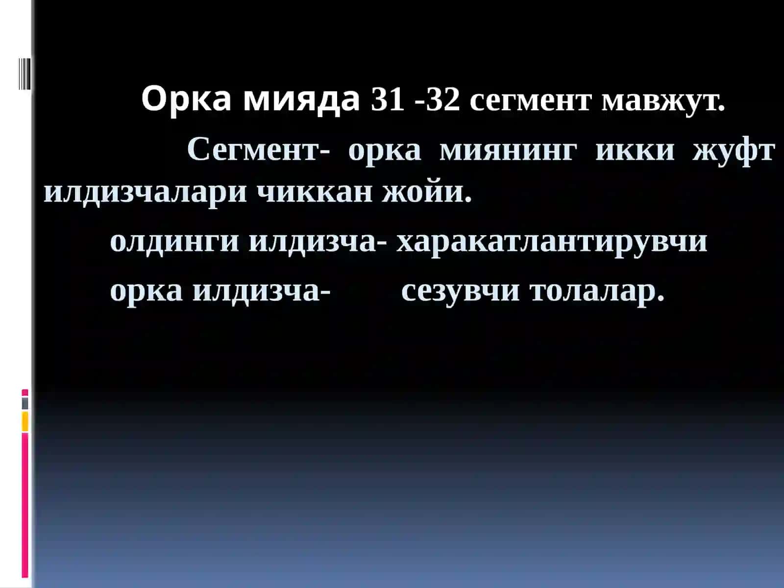 Периферик нерв системаси 4