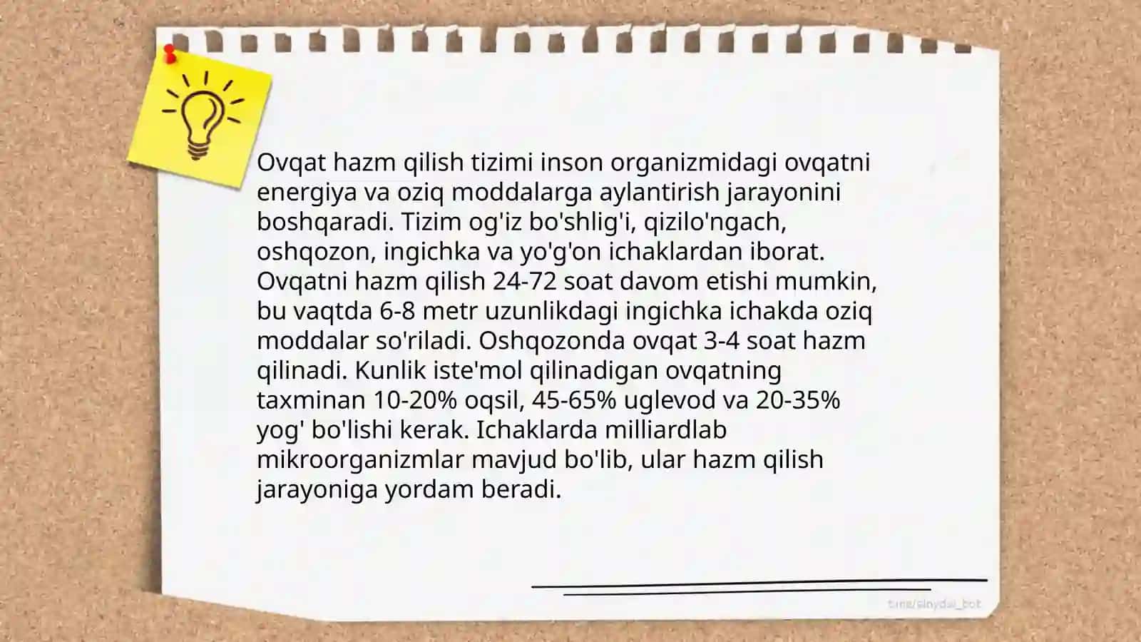 Odam anatomiyasi va fiziologiyasi 4