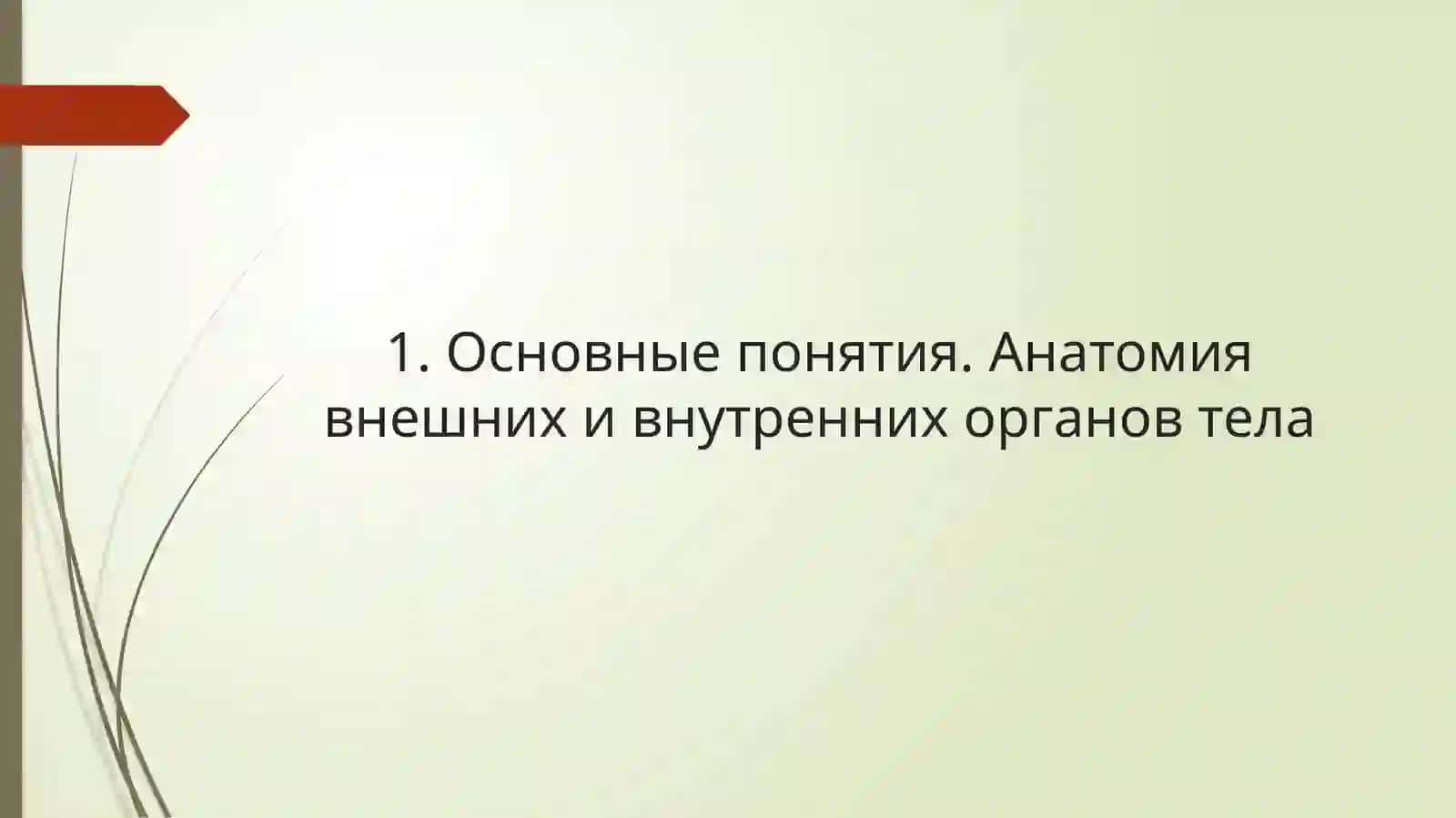 ЛЕКЦИЯ №2Тема: Структурно-функциональные отношения в системах организма человека 4