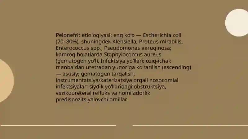 Pelonefrit 4