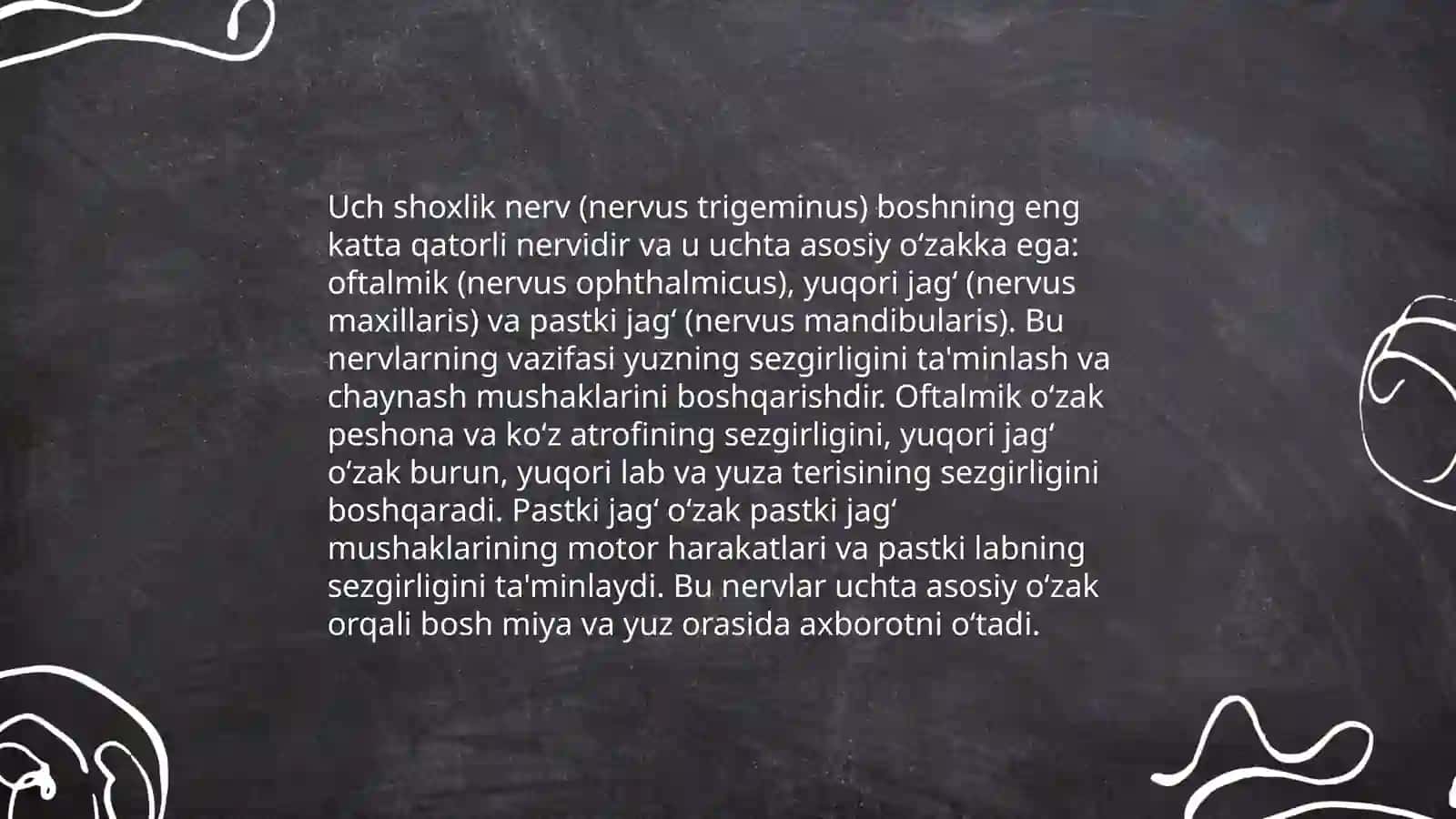 Uch shoxlik nerv: o‘zaklari, chiqish joylari, asosiy tarmoqlar va innervatsiya sohalari 4