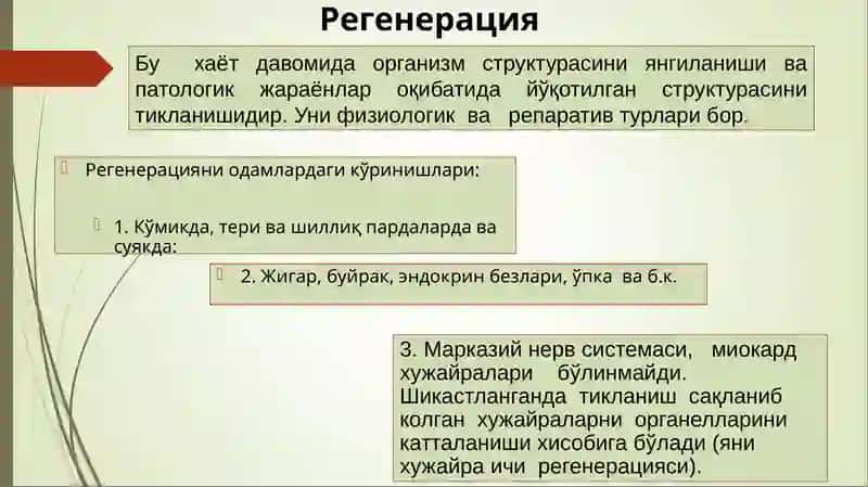 Усма 4
