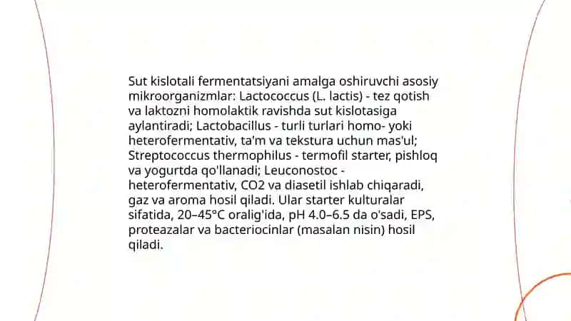 Sut kislotali bijgʻish va bu jarayonni amalga oshiruvchi mikroorganizmlar tahlili 4