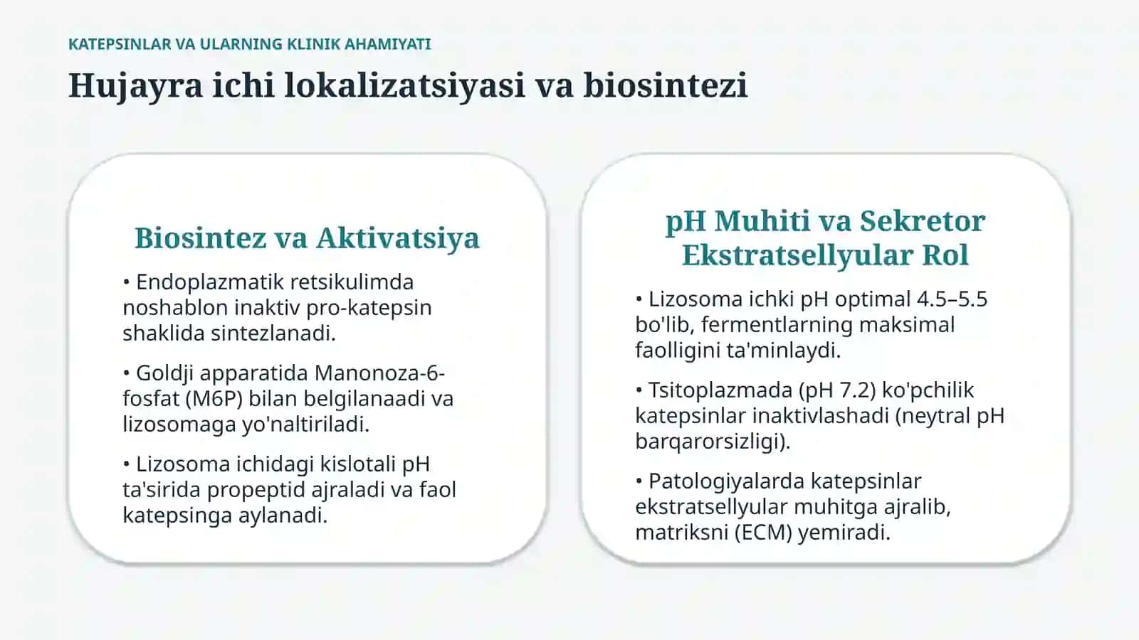 Katepsinlar va ularning klinik ahamiyati — 15 slayd 4