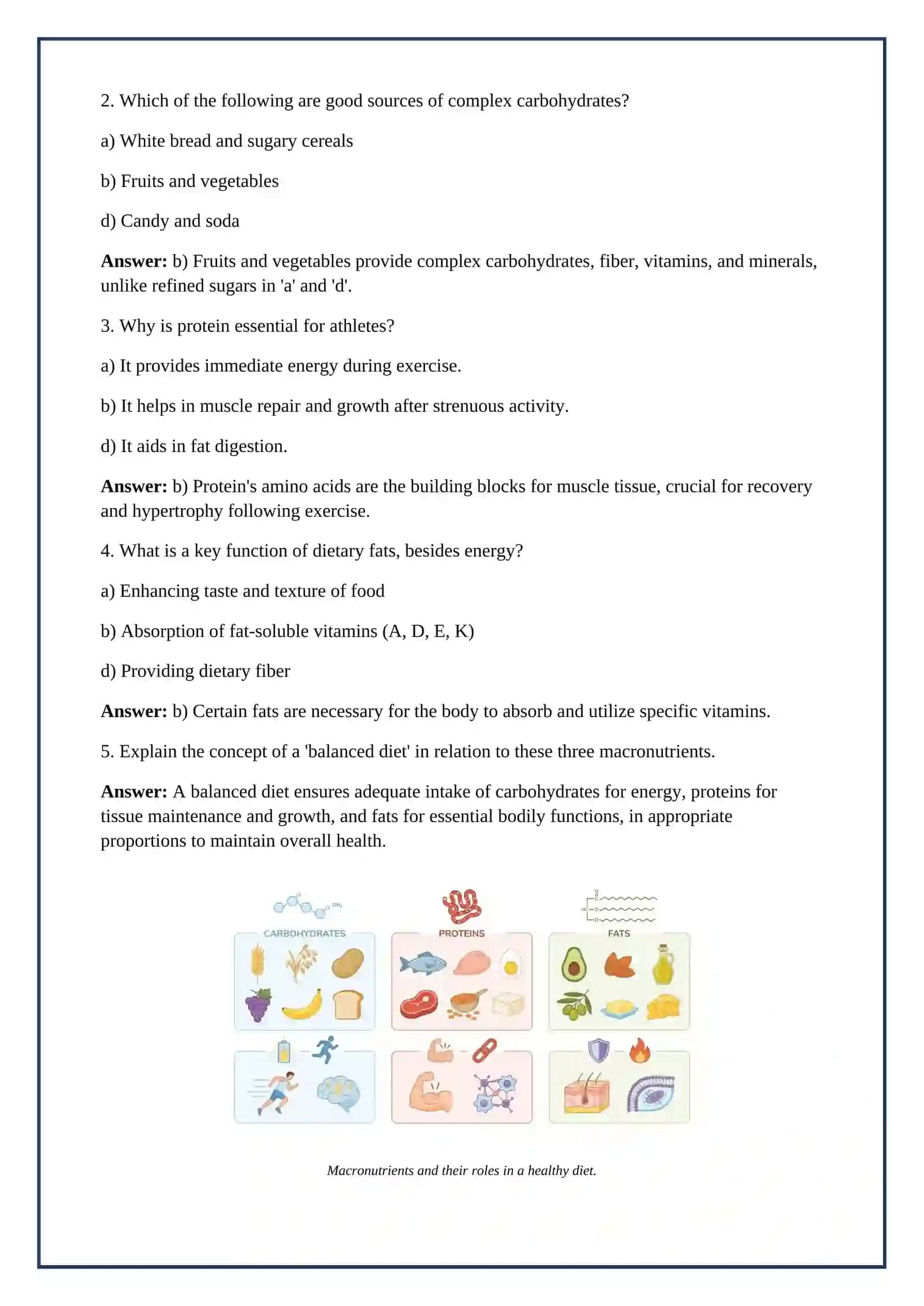 Lesson on Food 4
