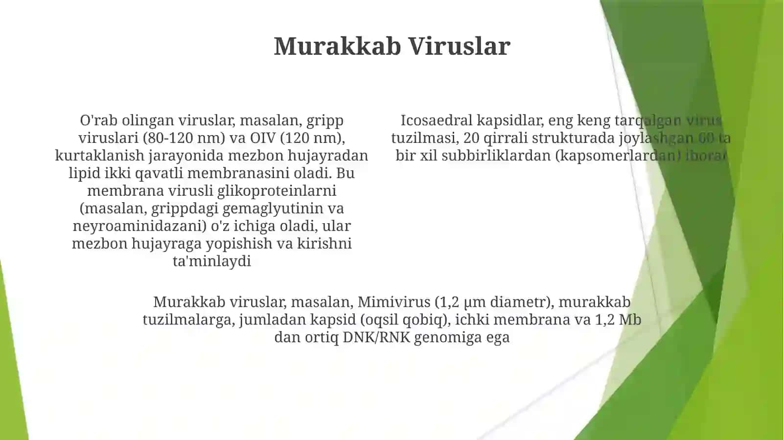 Viruslar 4