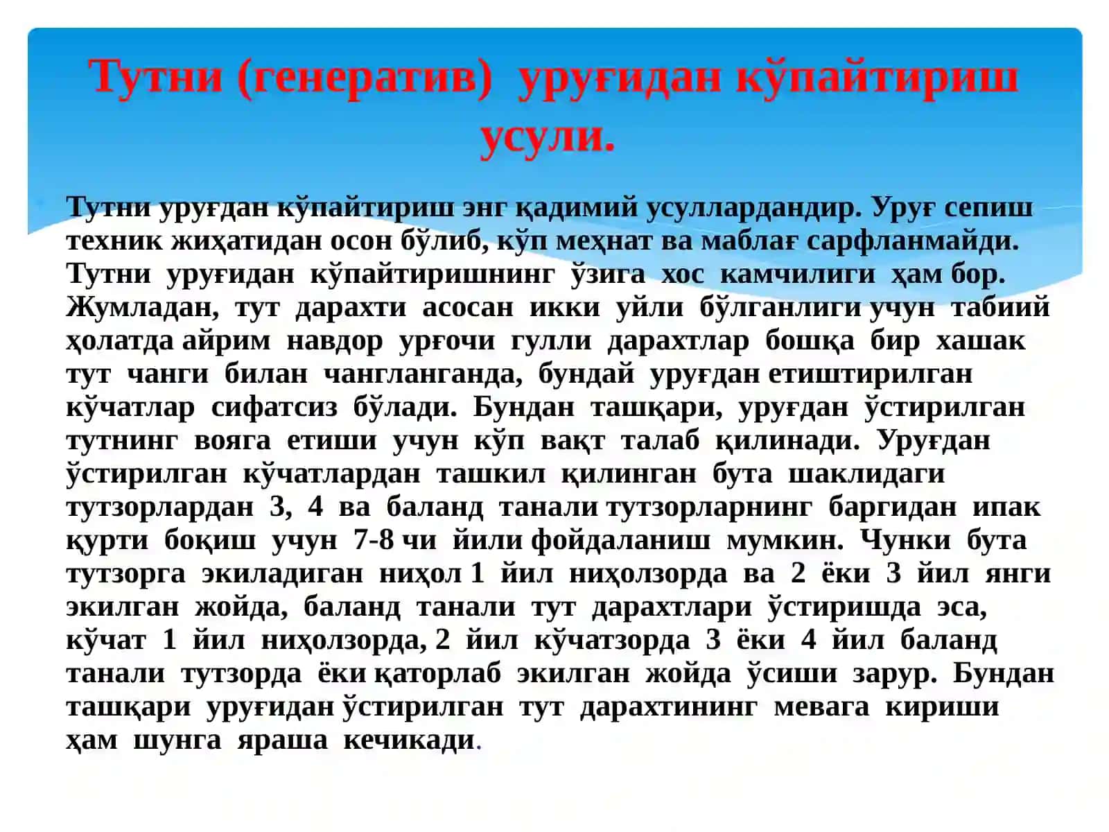 Тутчиликда кўчатзорлар ташкил қилиш ва тутни генератив усулда кўпайтириш ҳамда дурагай кўчат етиштириш агротехникаси 4
