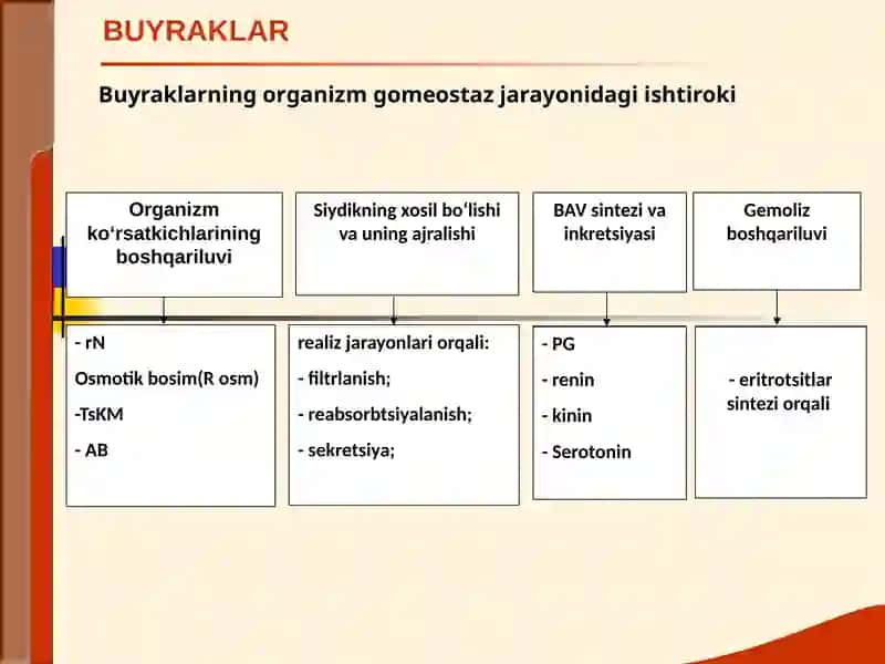 BUYRAK KASALLIGI BILAN OG‘RIGAN BEMORLARNI TEKSHIRISH USULLARI 4